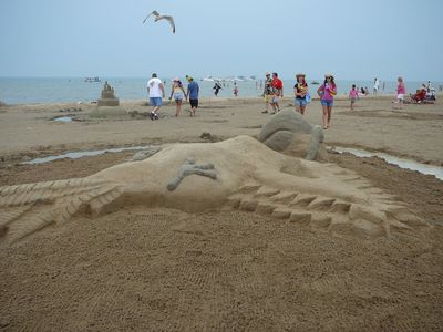 Caseville
Sand sculpture contest
