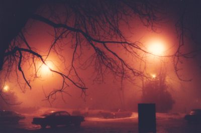 Fog