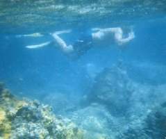 Snorkeling, first location