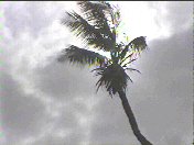 On the beach at St Maarten